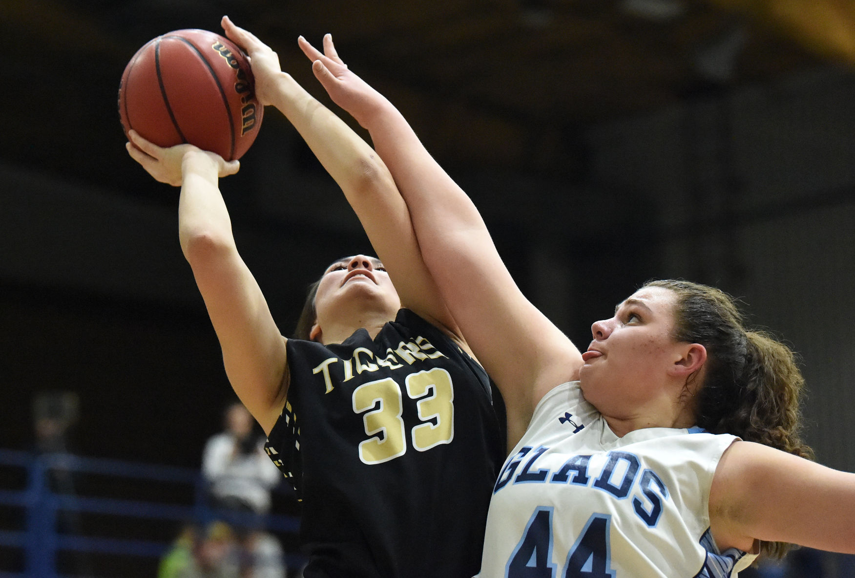 PHOTOS: Widefield Gladiators (19) Canon City Tigers (38)